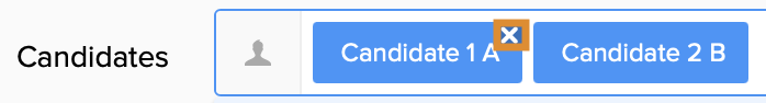 edit_candidate_en.png